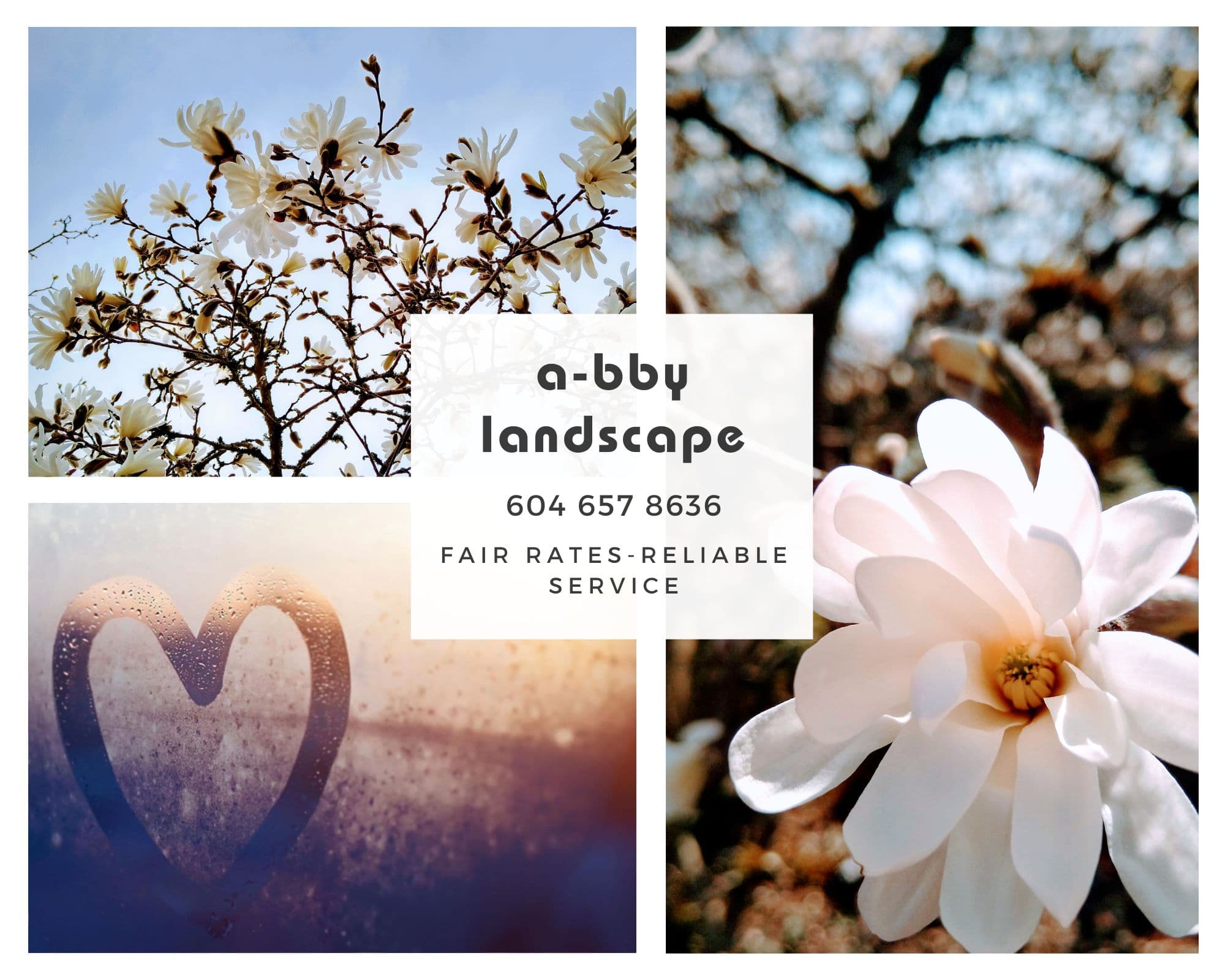 A-BBY Landscape review